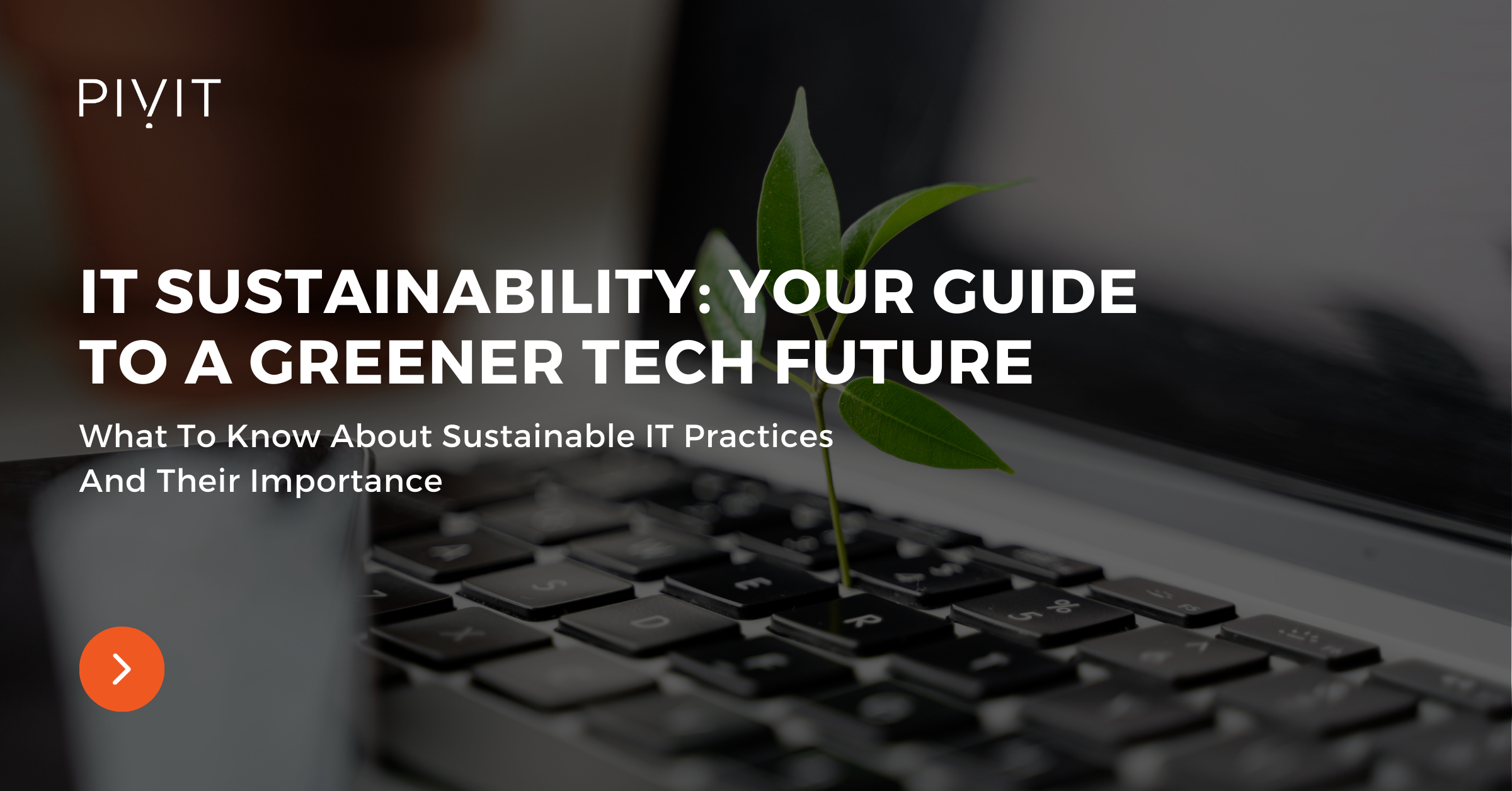 Blog | PivIT Global | Green IT